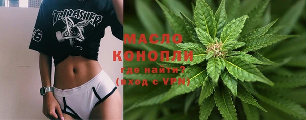 индика Сосновоборск