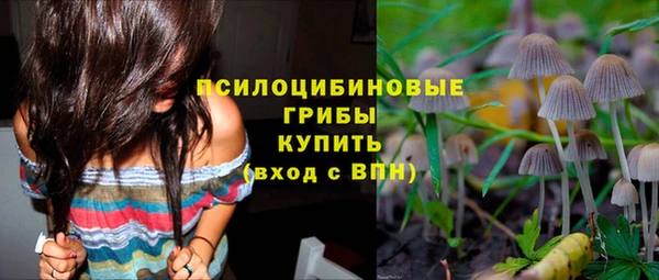 мяу мяу мука Сосновый Бор