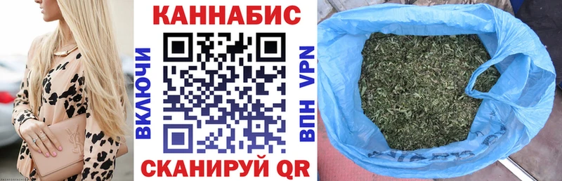 Конопля сатива Ленинградская
